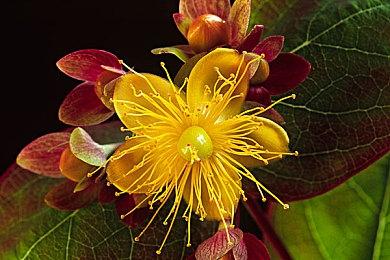 狂野之心澡堂在哪？