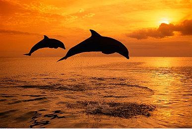 被取消的《星球大战：旧共和国武士》重制版截图曝光