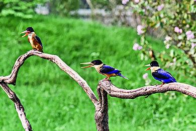 下周Epic免费游戏《铸铁》泄露 本作不支持中文